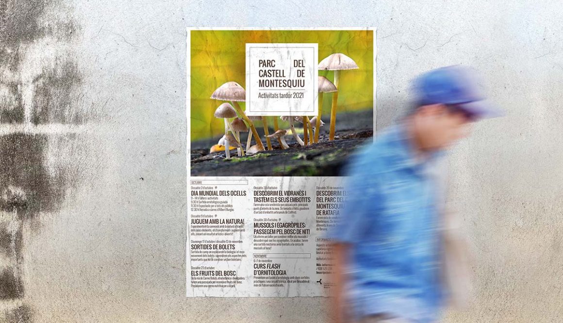 Poster mockup on old cement wall