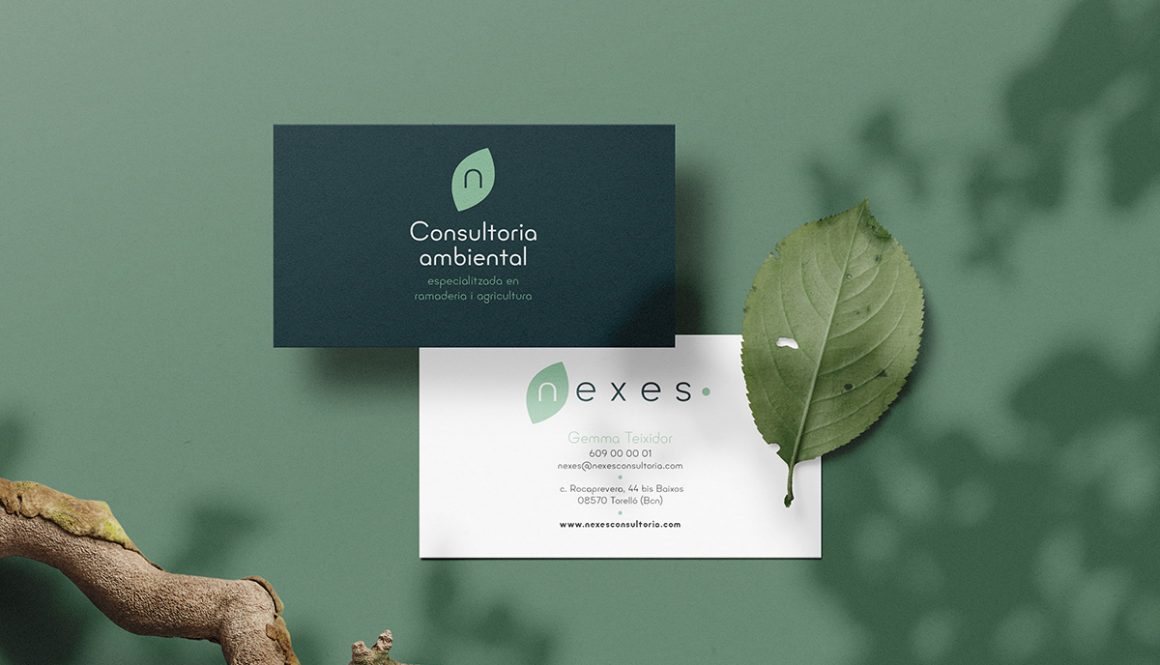 Clean minimal business card mockup on background with branches a