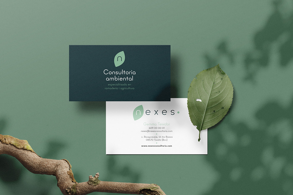 Clean minimal business card mockup on background with branches a