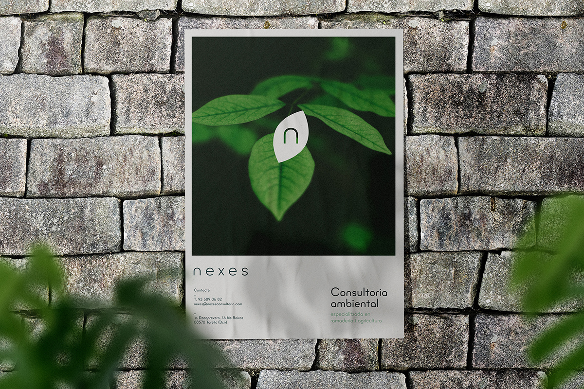Clean minimal poster mockup on the wall with tape and leaves